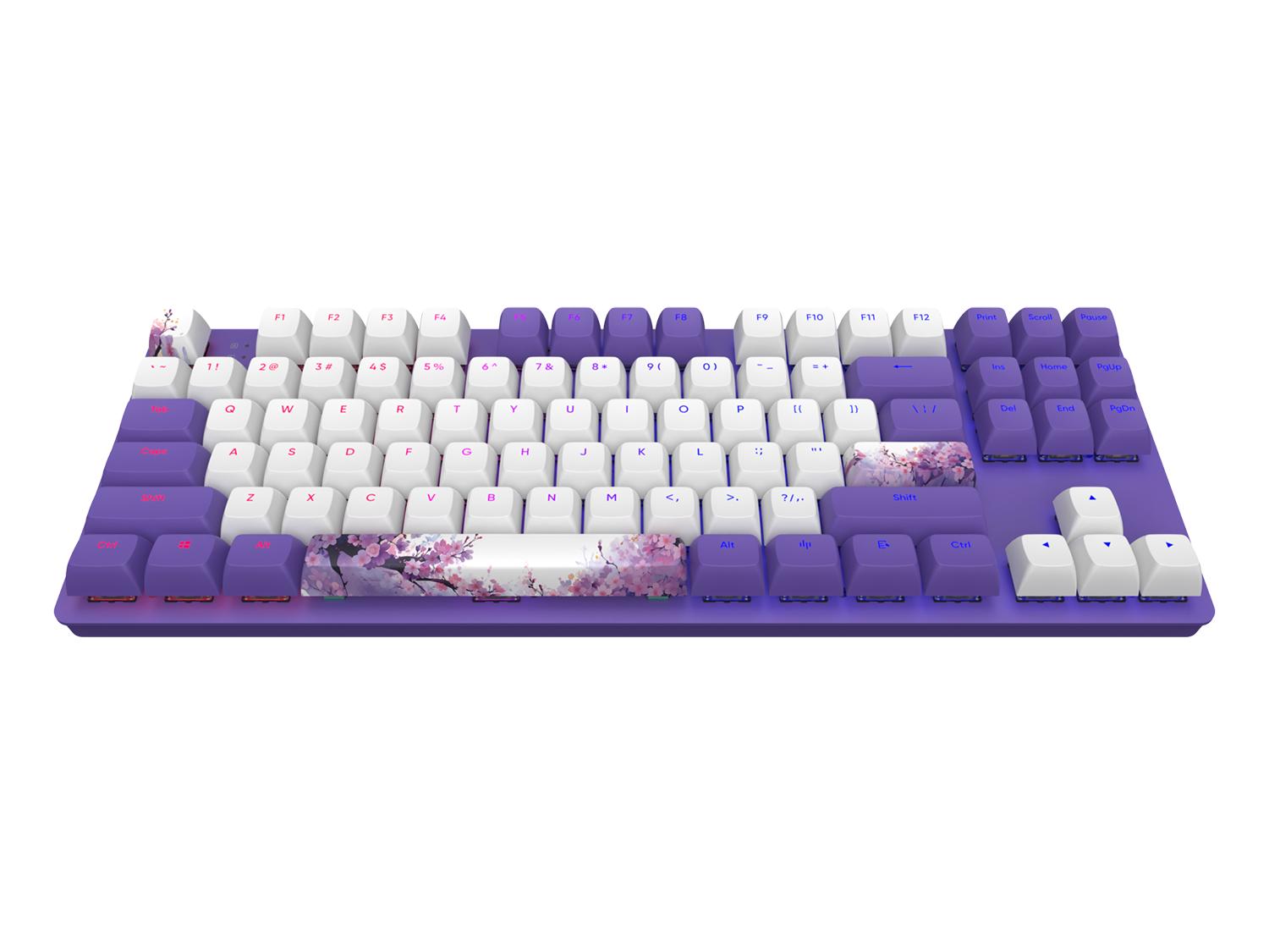 Геймърскa механична клавиатура Dark Project 87 Violet Horizons RGB TKL - G3MS Sapphire Switches, ABS-2
